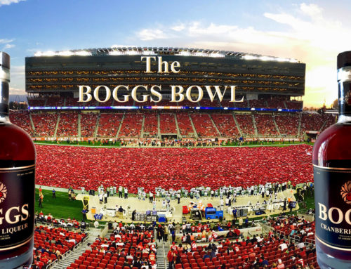 BOGGS Super Bowl Punch